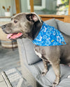 KC Royals Floral Dog Bandana
