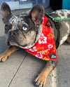 KC Chiefs Floral Dog Bandana