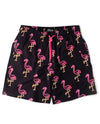 Neon Flamingos Hybrid Swim Shorts