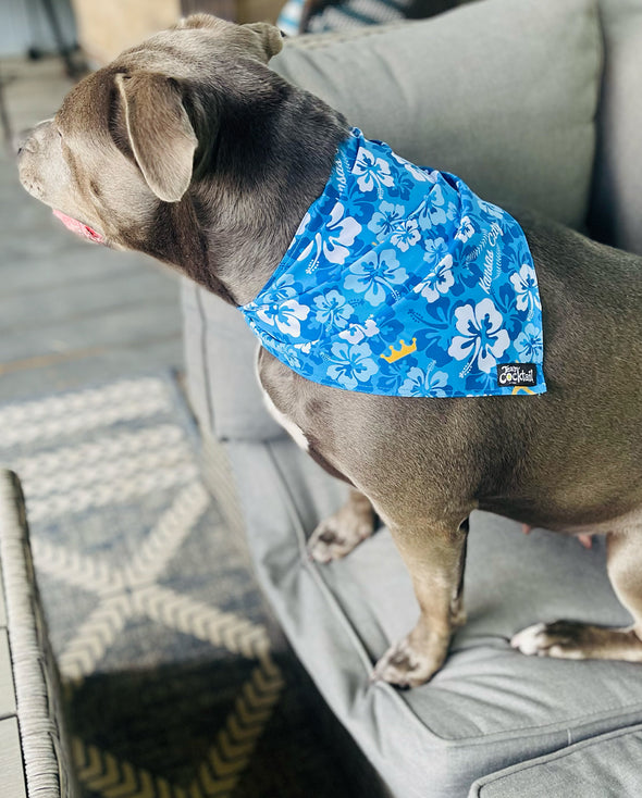 KC Royals Floral Dog Bandana