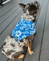 KC Royals Floral Dog Bandana