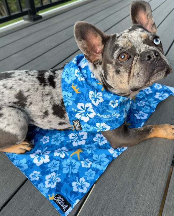 KC Royals Floral Dog Bandana
