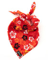 KC Chiefs Floral Dog Bandana
